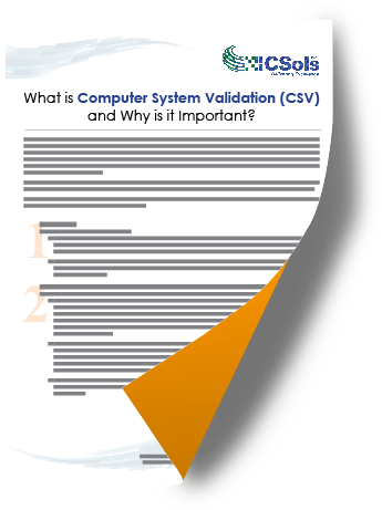 what is csv and why is it important.png
