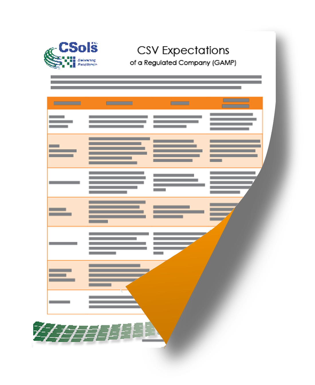 csv expectations of a regulatory company